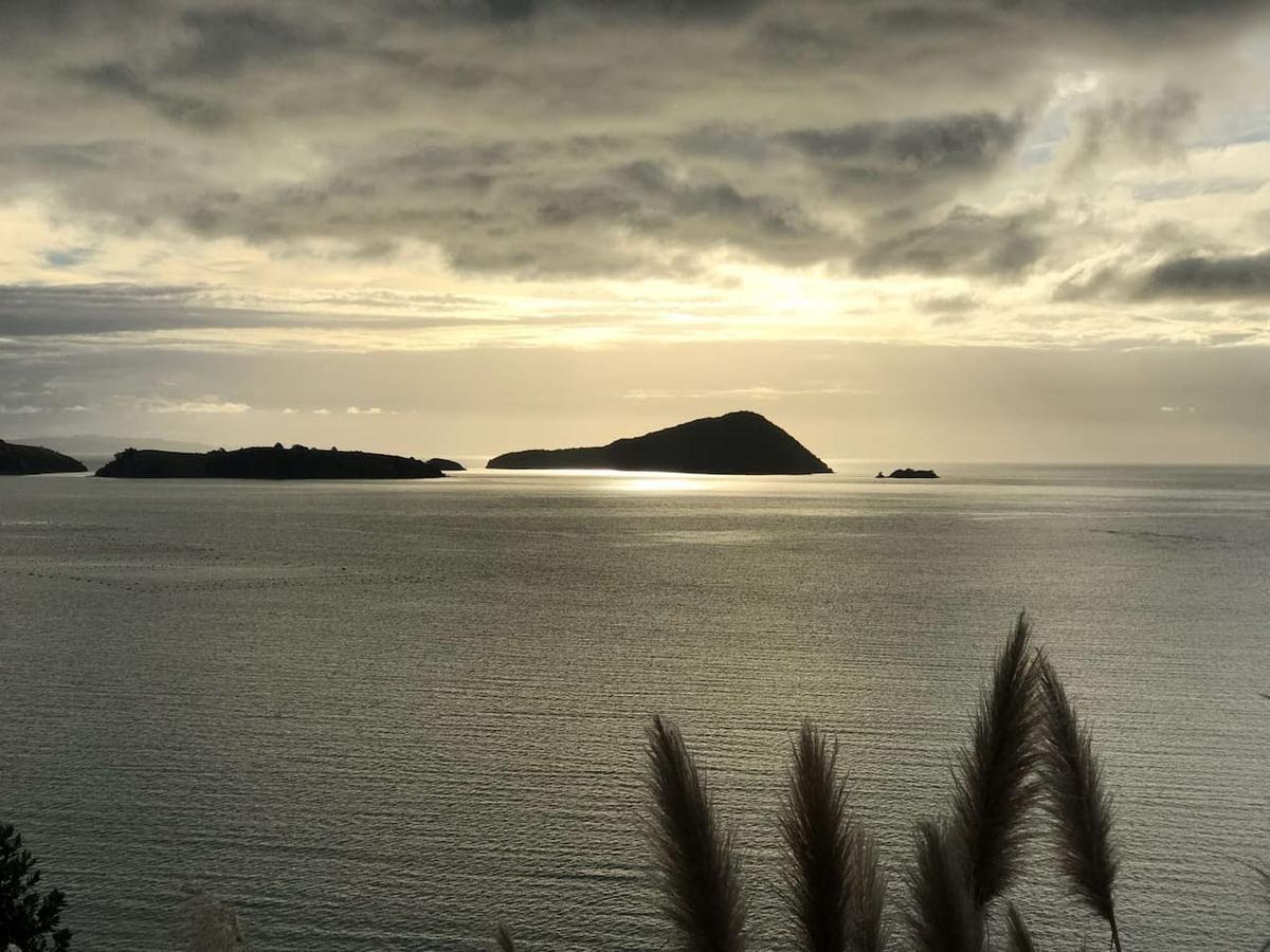 Island View Experience Villa Coromandel Exteriör bild